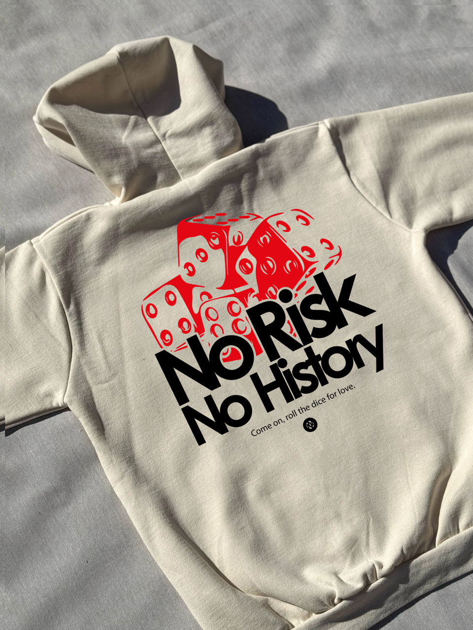 Hoodie / Sudadera No Risk No History