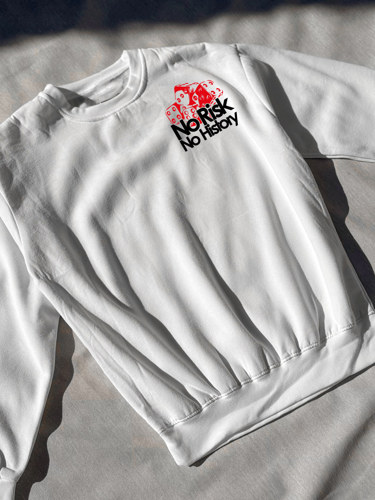 Hoodie / Sudadera No Risk No History