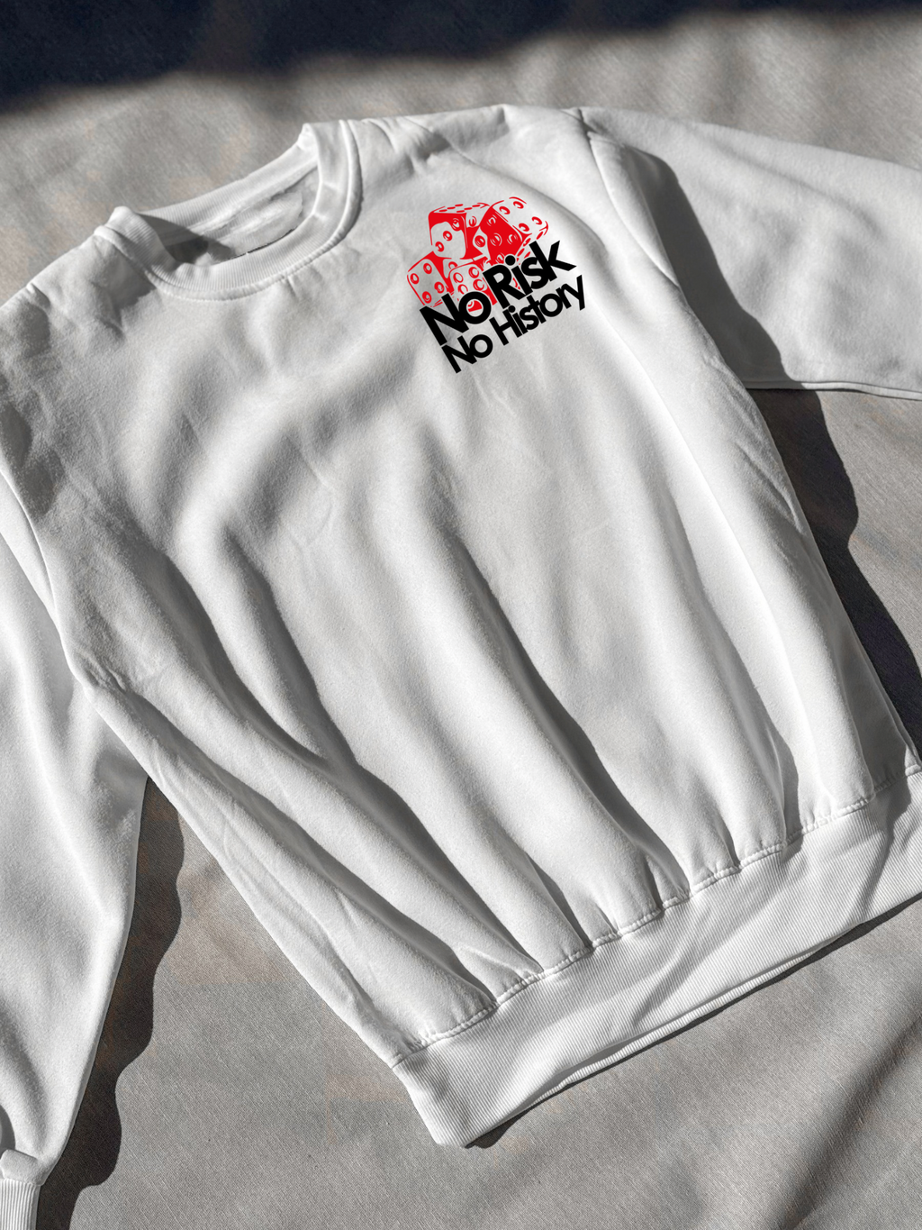 Hoodie / Sudadera No Risk No History