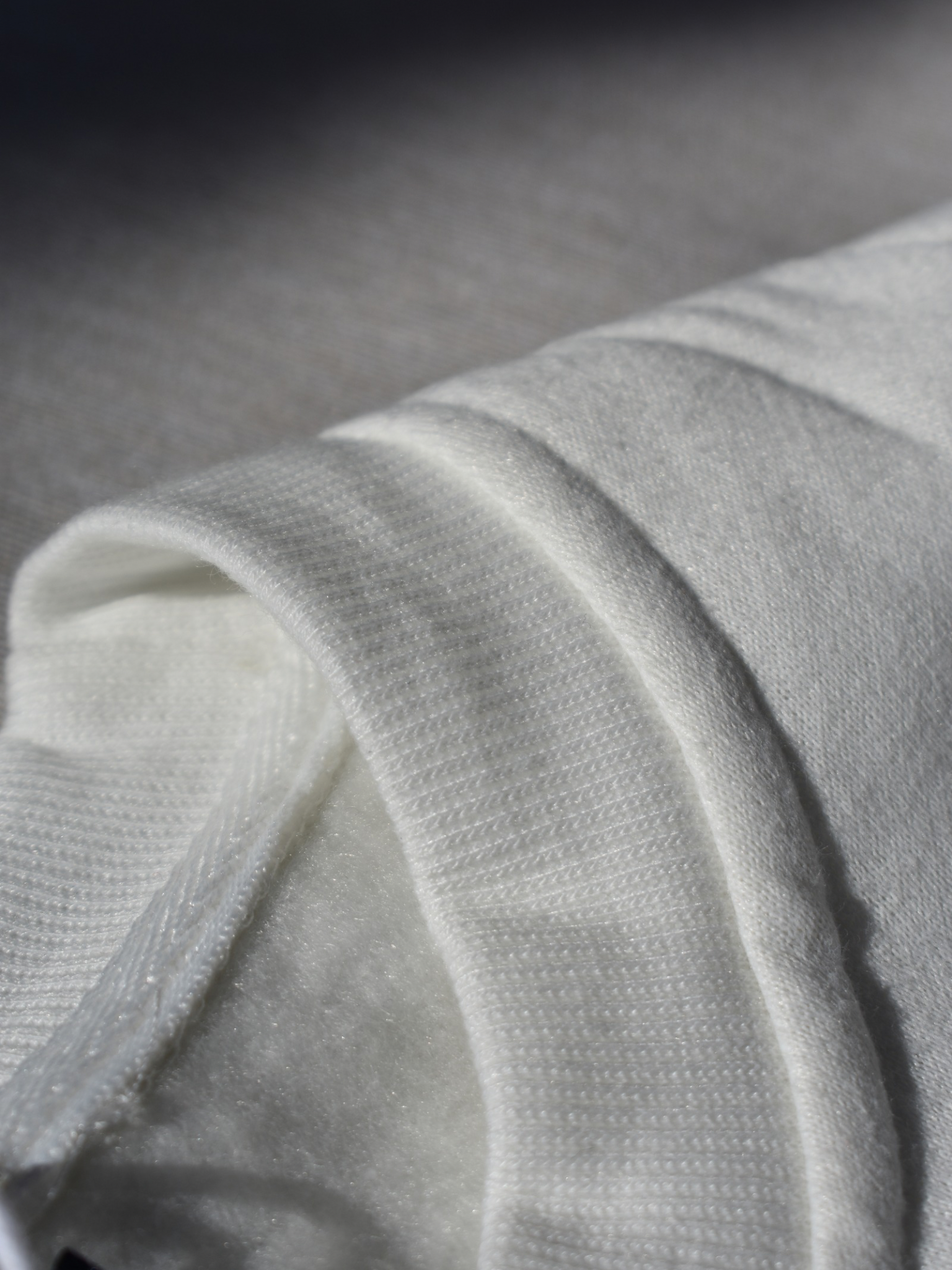 Hoodie / Sudadera No Risk No History