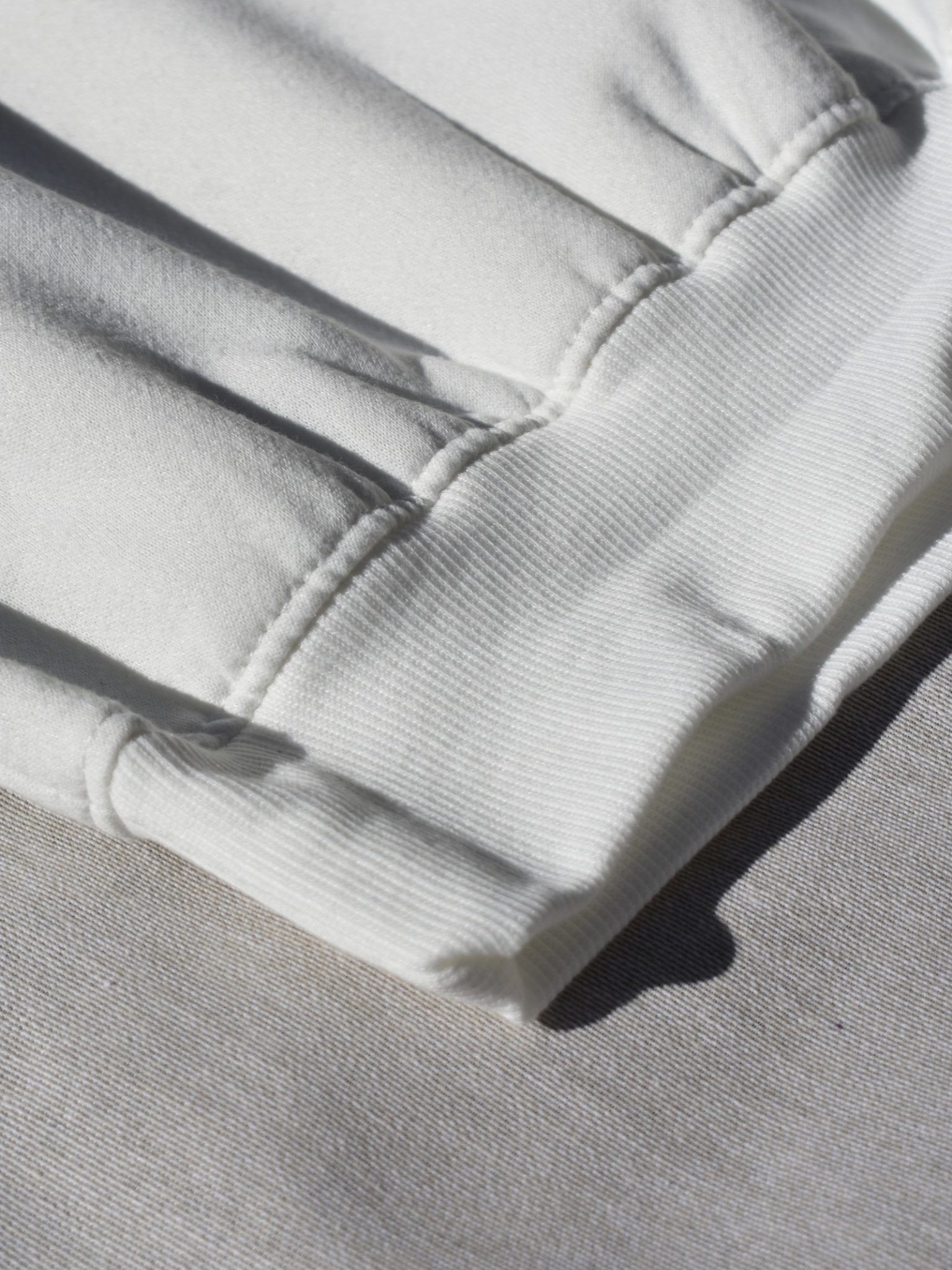 Hoodie / Sudadera No Risk No History