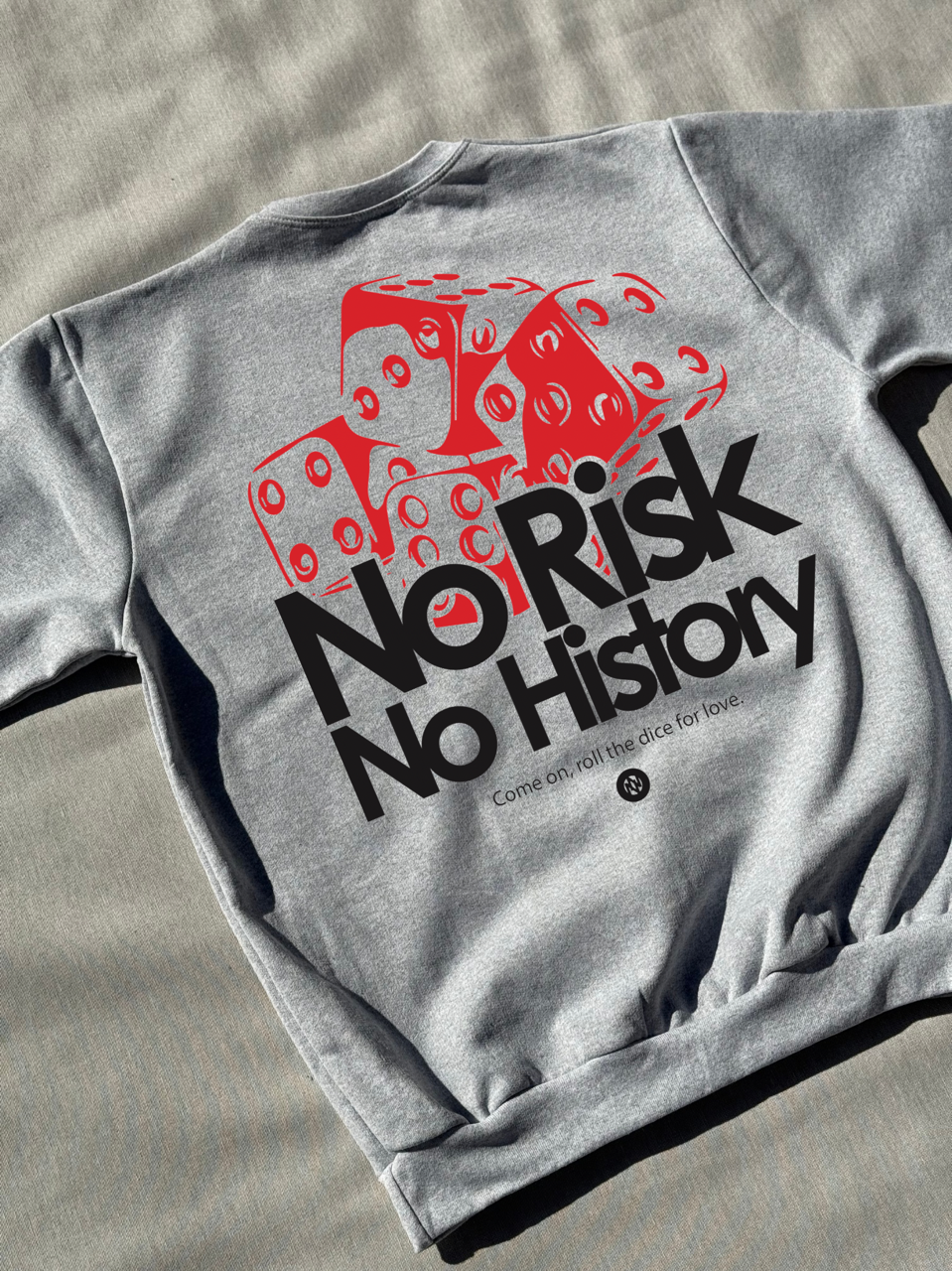Hoodie / Sudadera No Risk No History