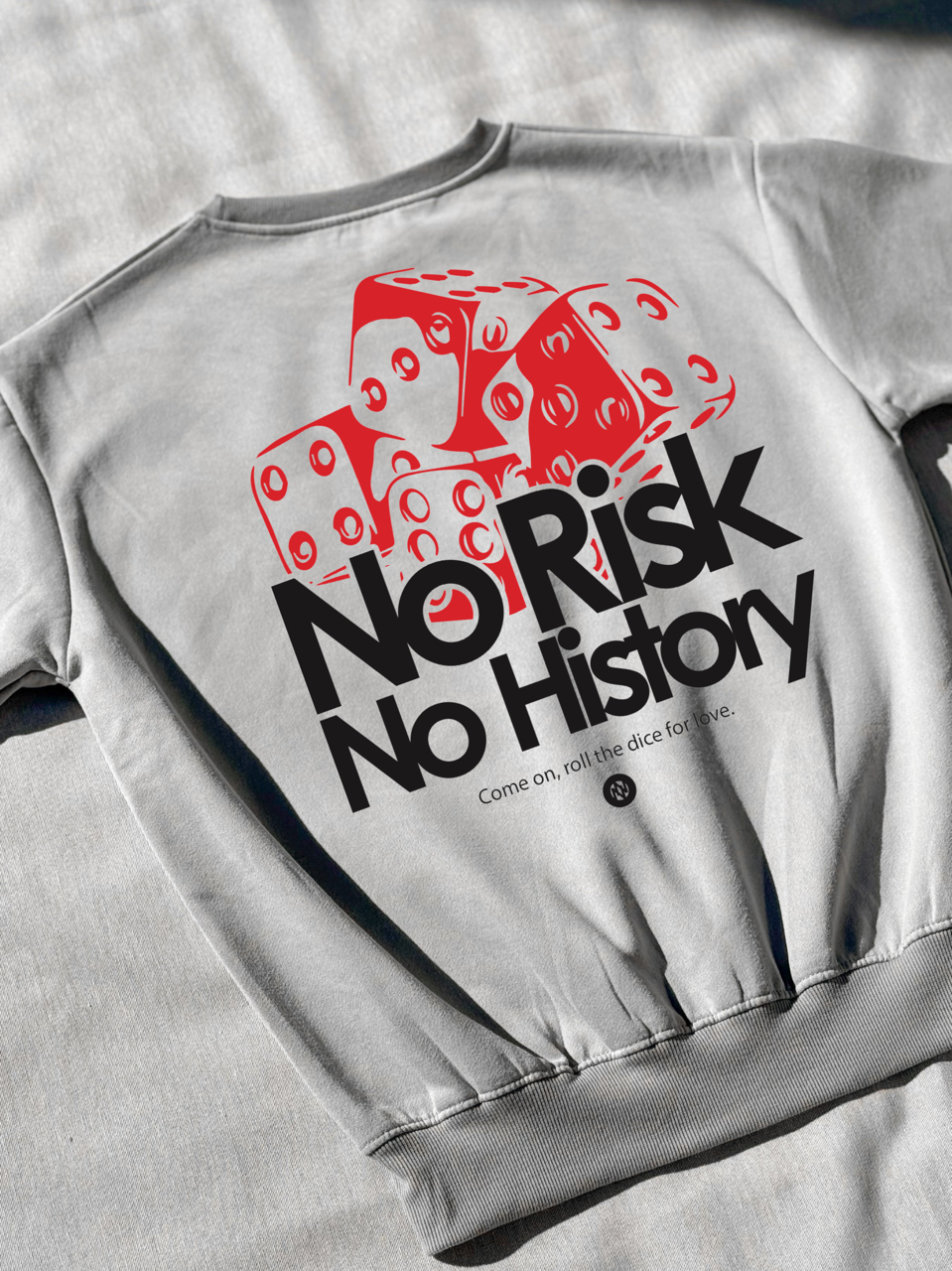Hoodie / Sudadera No Risk No History